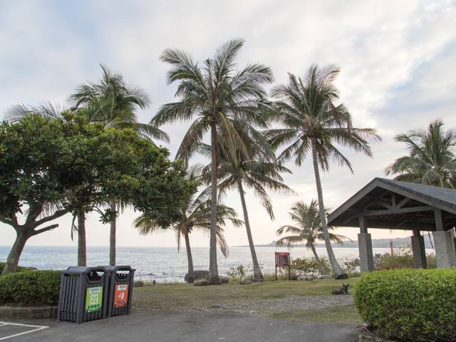 渚橋休憩區：海邊椰林